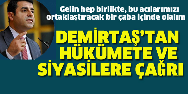 DEMİRTAŞ'TAN HÜKÜMETE VE SİYASİLERE ÇAĞRI