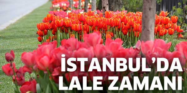 İSTANBUL'DA LALE ZAMANI