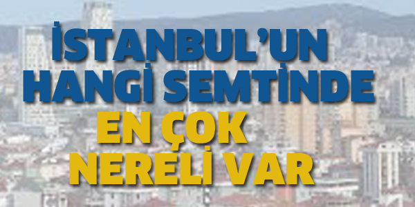 İSTANBUL'UN HANGİ SEMTİNDE EN ÇOK NERELİ VAR