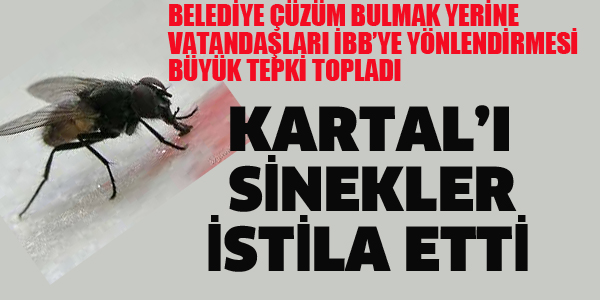 KARTAL'I SİNEKLER İSTİLA ETTİ