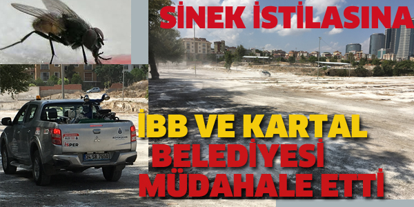 KARTAL VE İBB BELEDİYESİ, SİNEK İSTİLASINA MÜDAHALE ETTİ