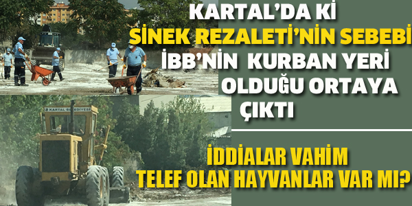 KARTAL'DA SİNEK İSTİLASI'NIN SEBEBİ, İBB'NİN KURBAN YERİ OLDUĞU ORTAYA ÇIKTI