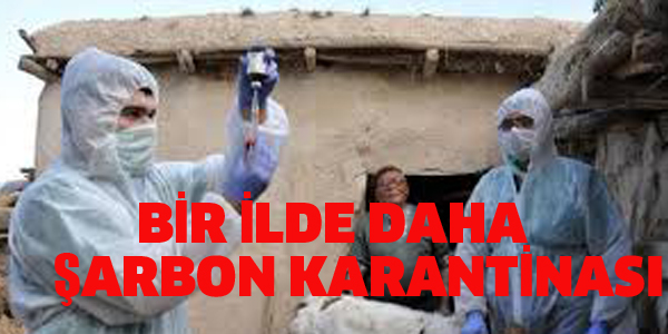 BİR İLDE DAHA ŞARBON KARANTİNASI