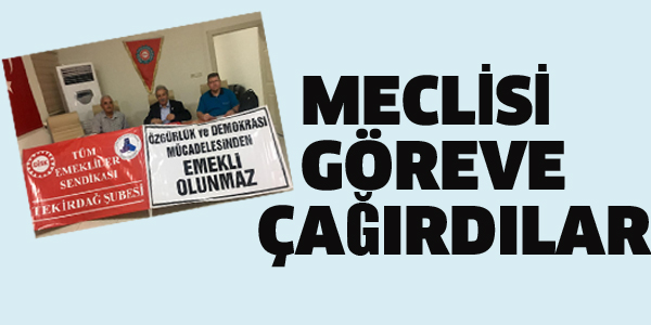 MECLİSİ GÖREVE ÇAĞIRDILAR