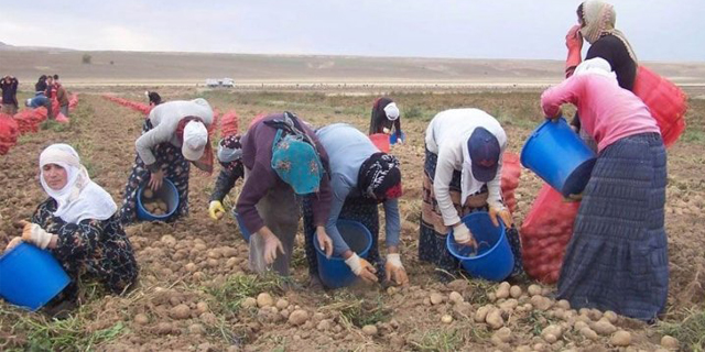 Dünya Kadın Çiftçiler Günü