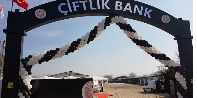 Çiftlik Bank Sosyal Medya Sorumlusu Yakalandı