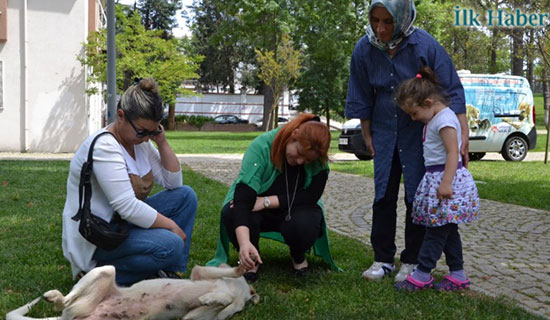 "Sadece Su, Mama ve Şefkat"