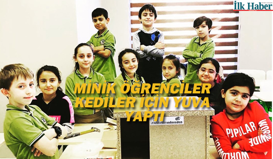 Minik Öğrenciler Kediler İçin Yuva Yaptı