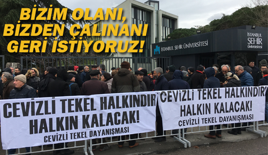 Cevizli Tekel Dayanışması "Bizim Oları, Bizden Çalınanı Geri İstiyoruz!