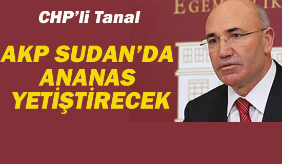 AKP SUDAN'DA ANANAS YETİŞTİRECEK