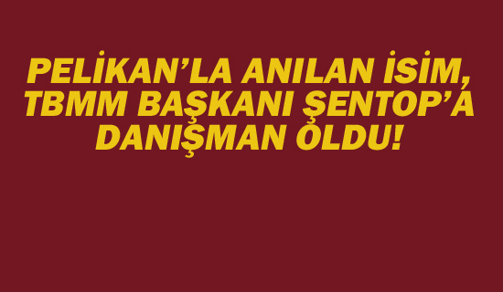 PELİKAN'LA ANILAN İSİM, TBMM BAŞKANI ŞENTOP'A DANIŞMAN OLDU!