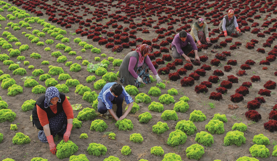 Bayraktar'dan "Dünye Çiftçiler Günü" Açıklaması
