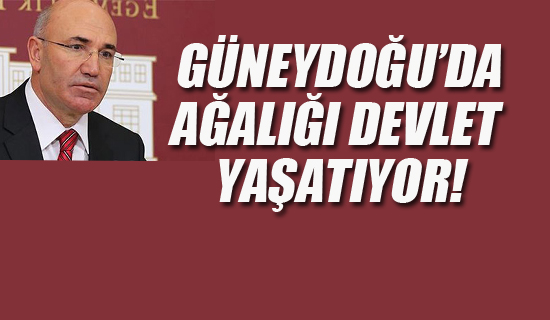 CHP'li Tanal, "Güneydoğu'da Ağalığı Devlet Yaşatıyor!"