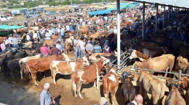 İBB Bilim Kurulu Kurban Bayramındaki Riske Dikkat Çekti