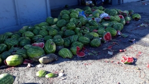 İnfial Yaratan Çürük Karpuz Skandalı!