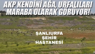 AKP Kendini Ağa, Urfalıları Maraba Olarak Görüyor!