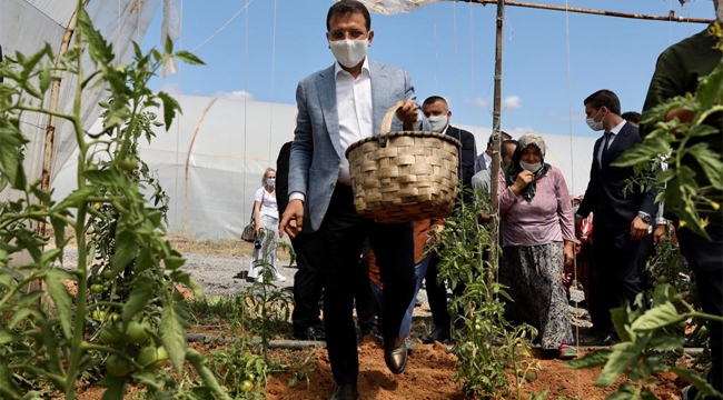 İmamoğlu Hasat Bayramında Konuştu "Gerçek Belediyecilik Mutluluğu Her Kesime Yaymaktır"