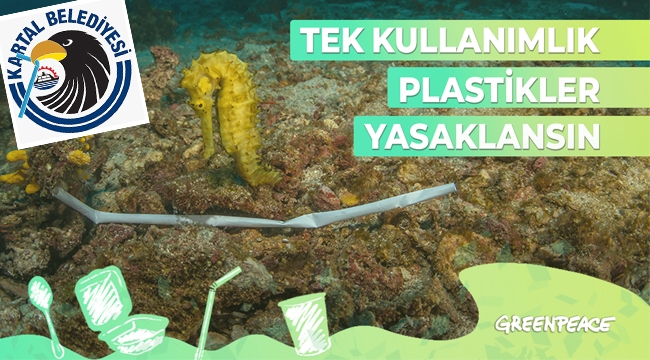 Kartal Belediyesi'nden Greenpeace'nin Kampanyasına Destek