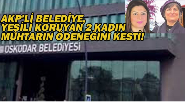 AKP'li Belediye, Yeşili Koruyan 2 Kadın Muhtarın Ödeneğini Kesti"