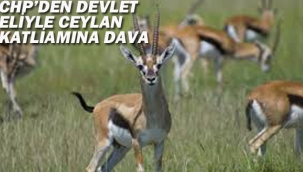 CHP'den Devlet Eliyle Ceylan Katliamına Dava