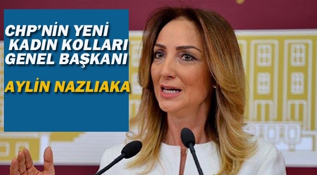 CHP'nin Yeni Kadın Kolları Genel Başkanı Aylin Nazlıaka