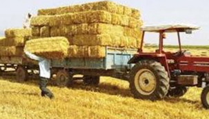 Saman'a Fahiş Zam, Et ve Sü Ürünlerini Artıracak