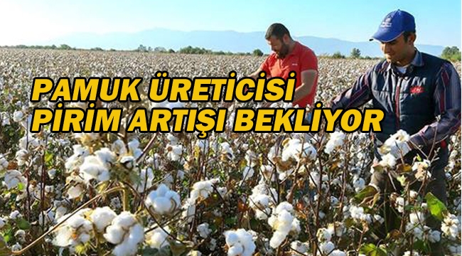 Pamuk Üreticisi Pirim Artışı Bekliyor