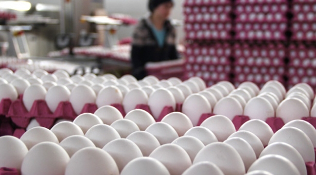 TZOB Başkanı Bayraktar "Yumurtada Yeni Pazarlar Bulunmalı
