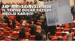 AKP'nin Yasa Teklifinde Tl Yerine Dolar Yazıldı, Meclis Karıştı!