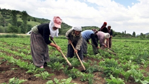 Bayraktar "Tarım da Çalışan Kadınların Yüzde 95'i Sosyal Güvenlik Sistemine Kayıtlı Değil" 