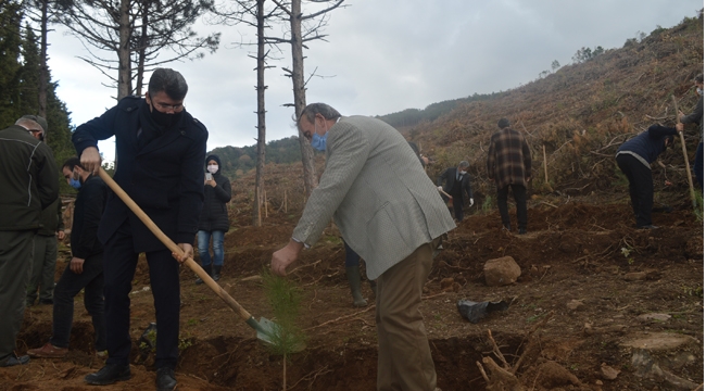 Kartal Milli Eğitim Müdürlüğü "Öğretmenler Günü"nde Fidan Dikti