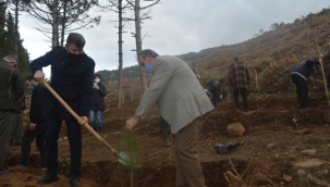 Kartal Milli Eğitim Müdürlüğü "Öğretmenler Günü"nde Fidan Dikti