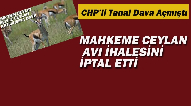 Mahkeme Ceylan Avı İhalesini İptal Etti