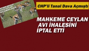 Mahkeme Ceylan Avı İhalesini İptal Etti