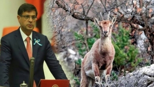 Tunceli'de Tepki Çeken O İhale İptal Edildi