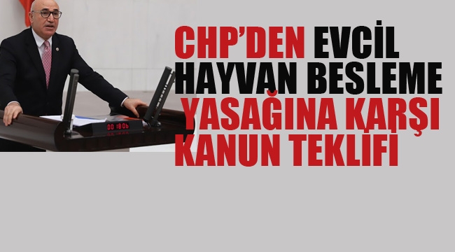 CHP'den Evcil Hayvan Besleme Yasağına Karşı kanunTeklifi