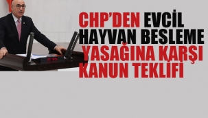 CHP'den Evcil Hayvan Besleme Yasağına Karşı kanunTeklifi