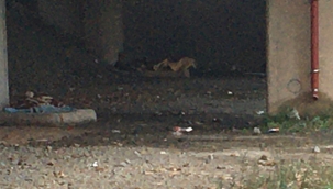 İBB Önce Yuva Oldu Sonra İş Buldu