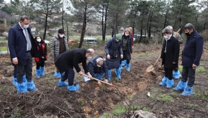 Kartal'da, Çanakkale Zaferi Anısına 500 Fidan Dikildi