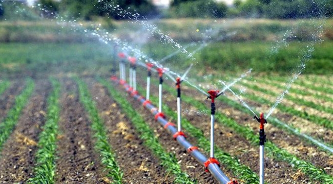 Urfa'da DEDAŞ, Borç Nedeniyle Sulama Sisteminin Elektriğini Kesince…