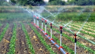 Urfa'da DEDAŞ, Borç Nedeniyle Sulama Sisteminin Elektriğini Kesince…