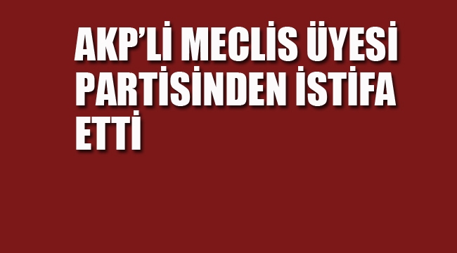 AKP'li Meclis Üyesi Partisinden İstifa etti