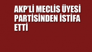AKP'li Meclis Üyesi Partisinden İstifa etti
