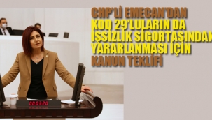 CHP'li Emecan'dan Kod 29'lular İçin Kanun Teklifi