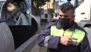 Çöp Konteynerine Atılan Kedileri Belediye Personeli Kurtardı