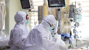 Korona Verileri Açıklandı