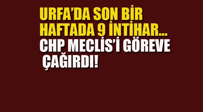 Urfa'da Son Bir Hatada 9 İntihar, CHP Meclisi Göreve Çağırdı!