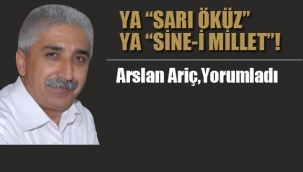 Ya "Sarı Öküz", Ya Sine-i Millet"!