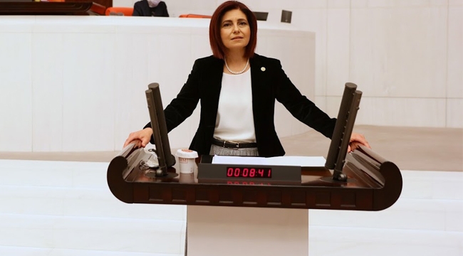 CHP'li Emecan "Türkiye'nin Pandemi de Vatandaşa Verdiği Destek, Almanya'nın 6'da Biri"