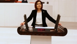 CHP'li Emecan "Türkiye'nin Pandemi de Vatandaşa Verdiği Destek, Almanya'nın 6'da Biri"